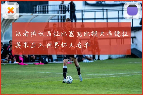 记者热议马拉比塞克比朔夫韦德拉奥果应入世界杯大名单