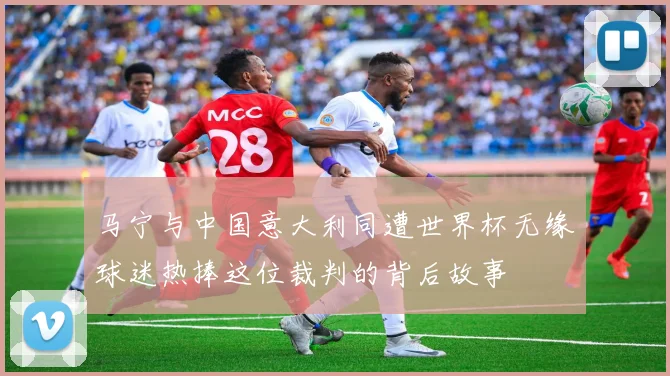 马宁与中国意大利同遭世界杯无缘球迷热捧这位裁判的背后故事